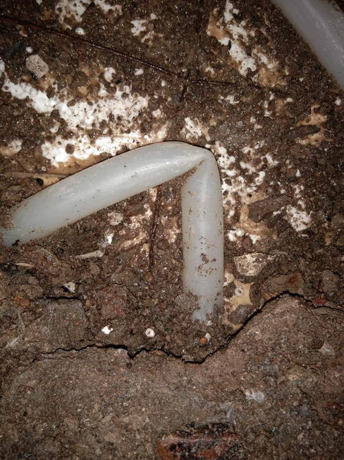 安岳堵点精准查找